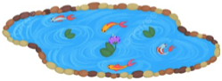 (image for) Aquarium & Ponds